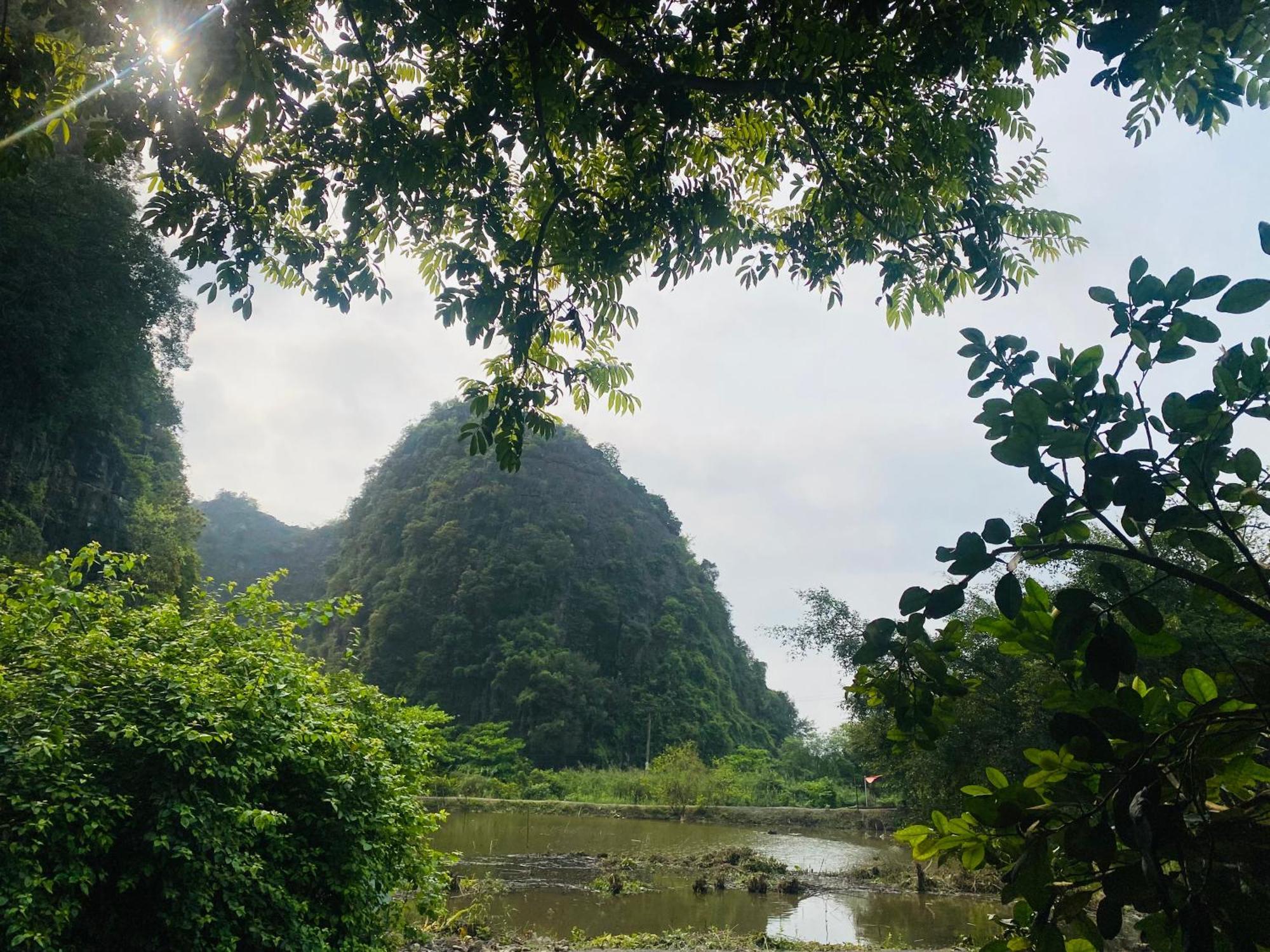 Tamcoc Viet Tan Homestay & Garden Ninh Binh Exterior photo
