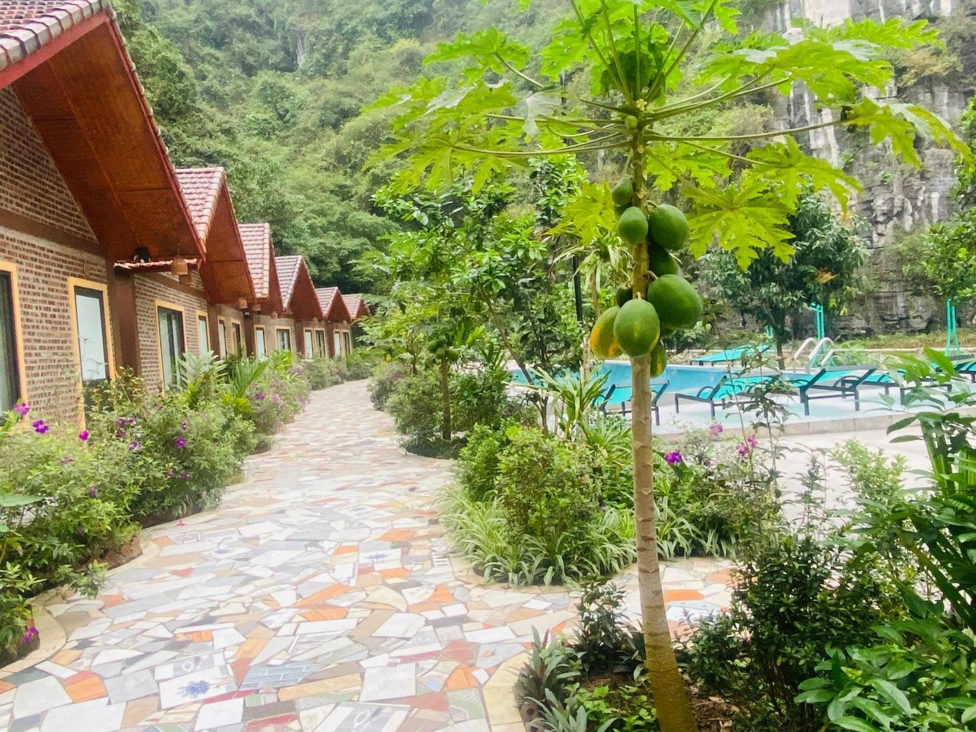 Tamcoc Viet Tan Homestay & Garden Ninh Binh Exterior photo